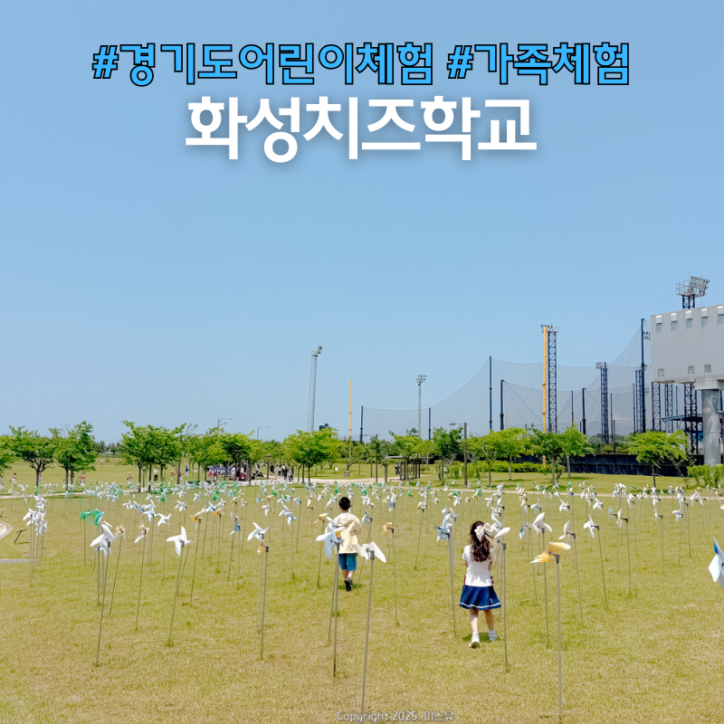 화성치즈학교 이미지