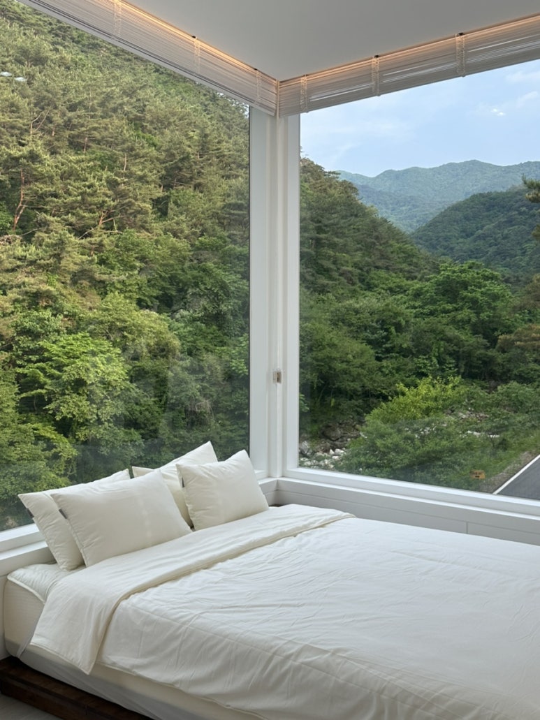 더블유빌리지 이미지