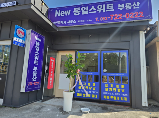 해운대미스터종합광고 이미지