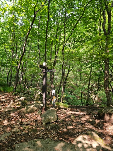 소백산국립공원 초암탐방지원센터 이미지