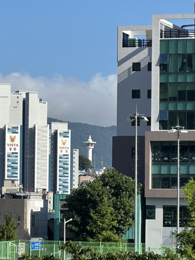 나라여행사주 이미지