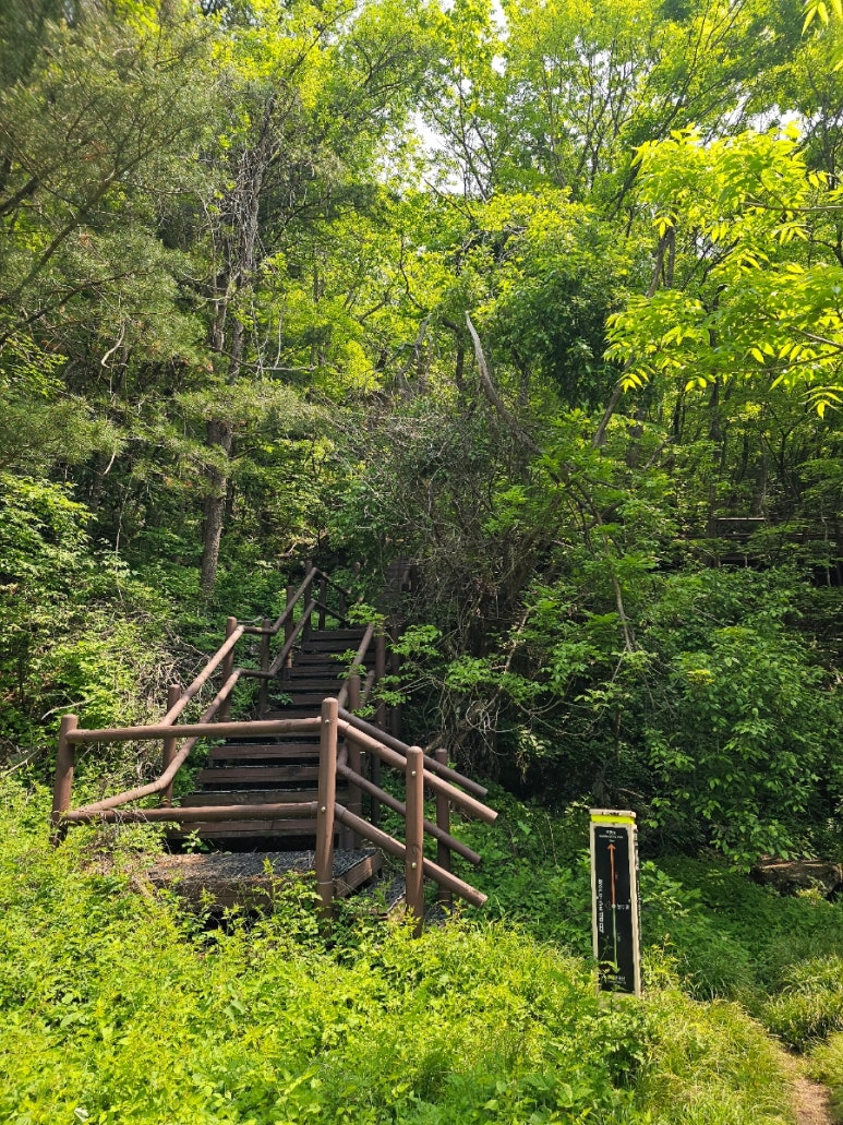 소백산국립공원 초암탐방지원센터 이미지