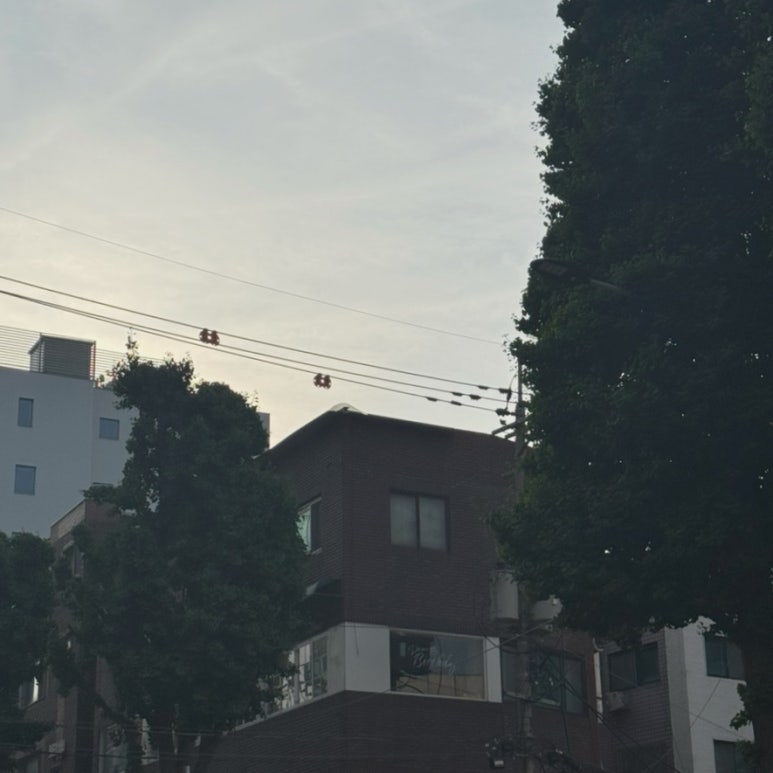 디어벌스데이 이미지