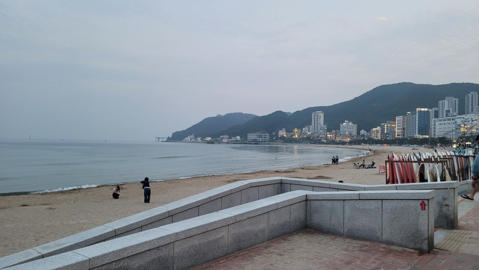 돼지삼촌 이미지