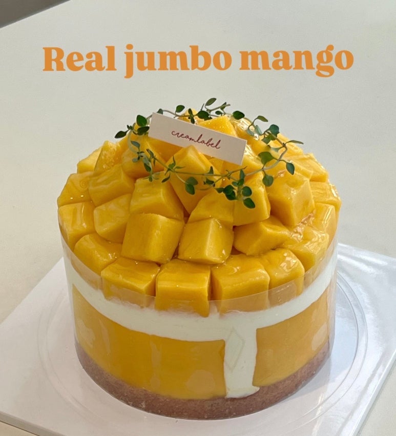 하우스케이크(House cake) 이미지
