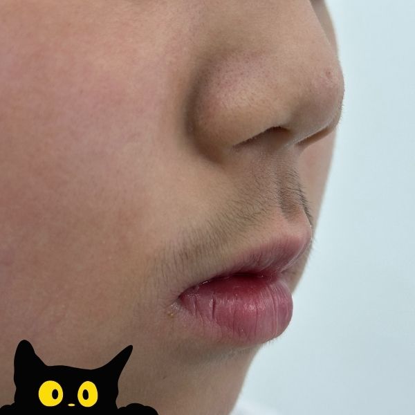 원톤스킨 이미지