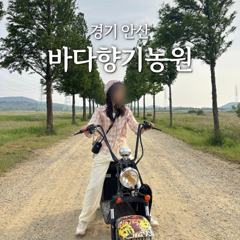 바다향기농원 이미지
