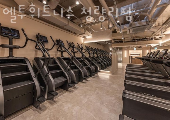 엘투 이미지