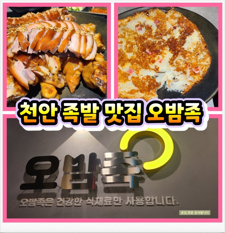 오밤족 이미지