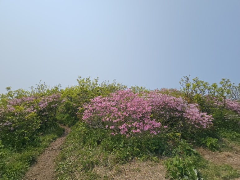 소백산국립공원 초암탐방지원센터 이미지