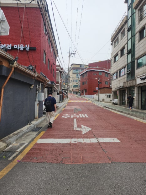달빛 거북이 이미지