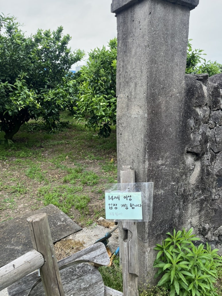 별하다방 이미지