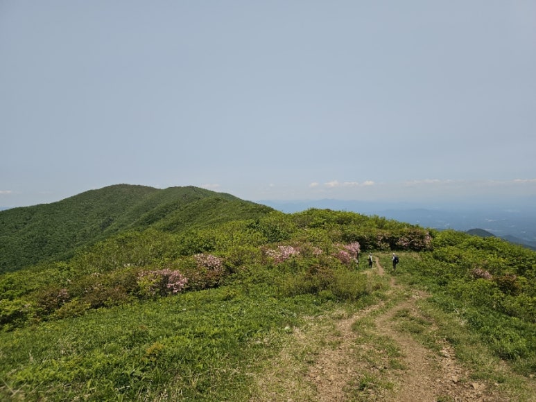소백산국립공원 초암탐방지원센터 이미지