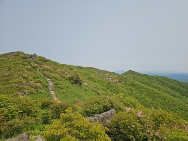 소백산국립공원 초암탐방지원센터 이미지