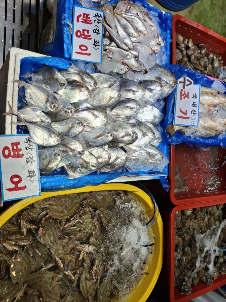 강화건어물 이미지