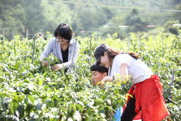 신동아축산 이미지