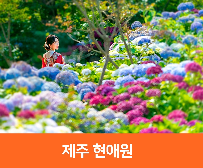 이스틀리 이미지