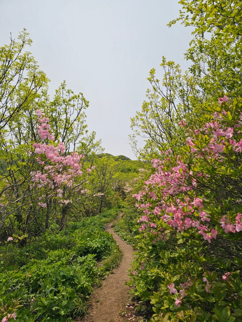 소백산국립공원 초암탐방지원센터 이미지