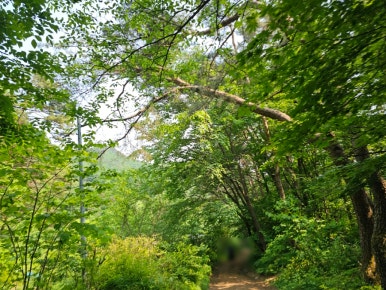 소백산국립공원 초암탐방지원센터 이미지