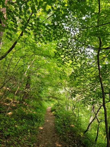 소백산국립공원 초암탐방지원센터 이미지