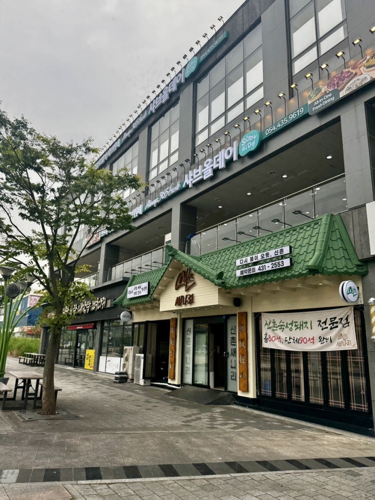 신촌새나리 이미지