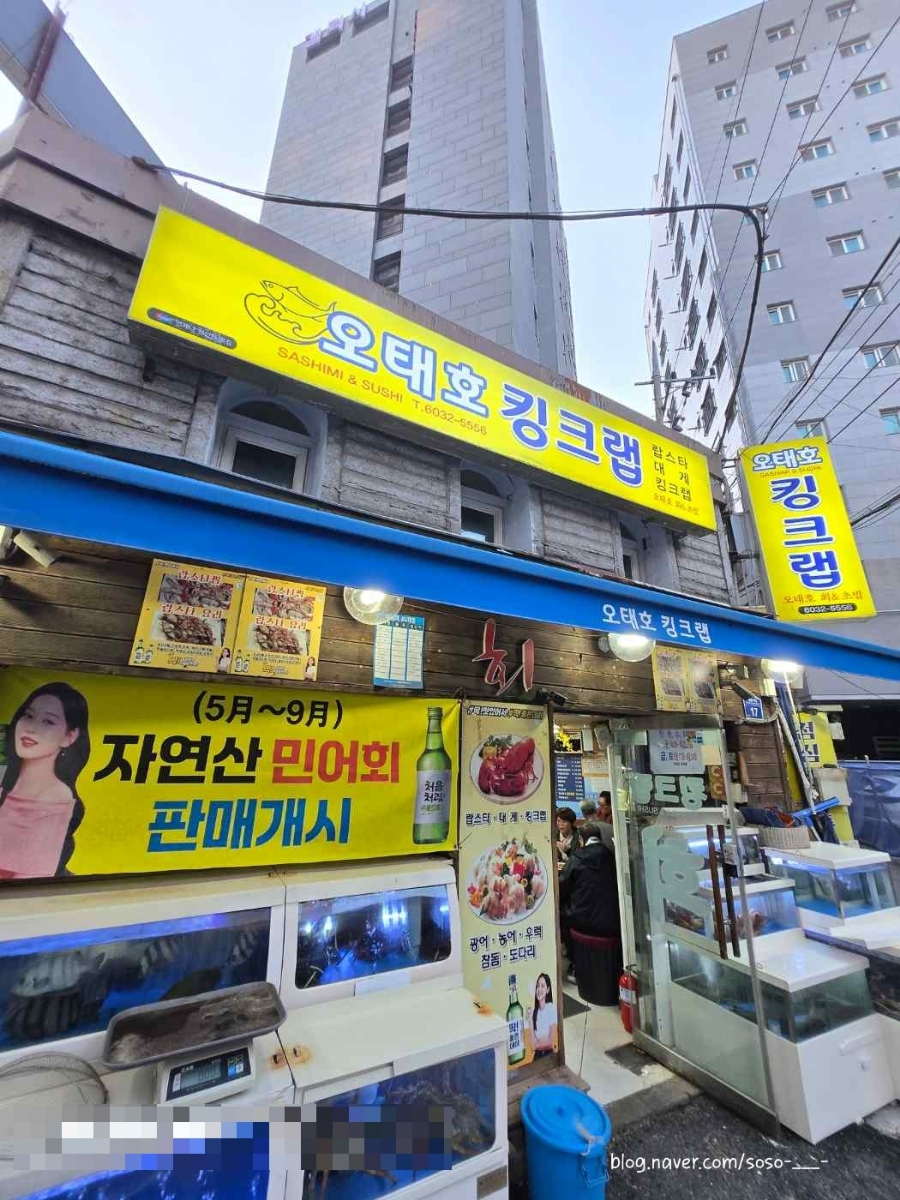 오태호킹크랩 이미지