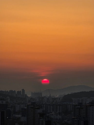 레드버튼 인천논현점 이미지