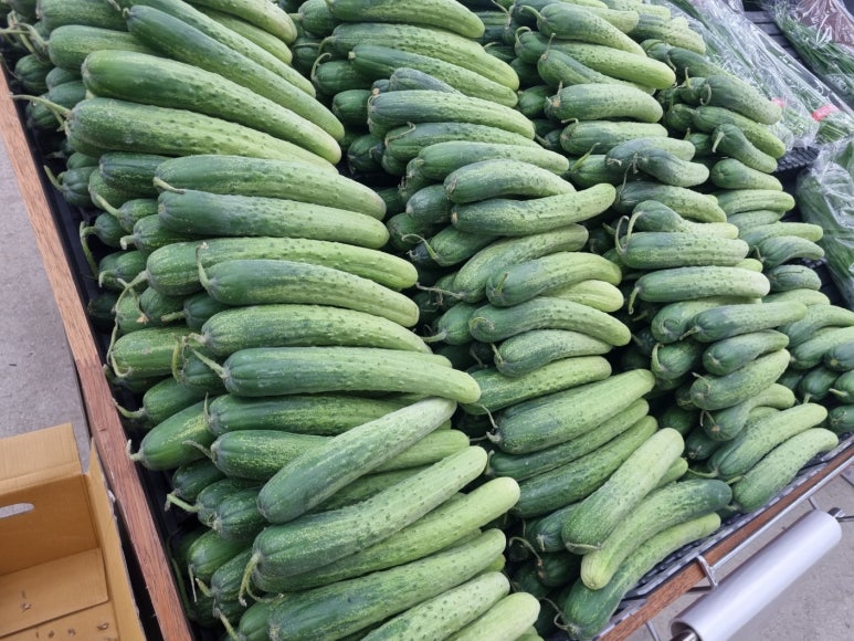 토마토동남점 이미지