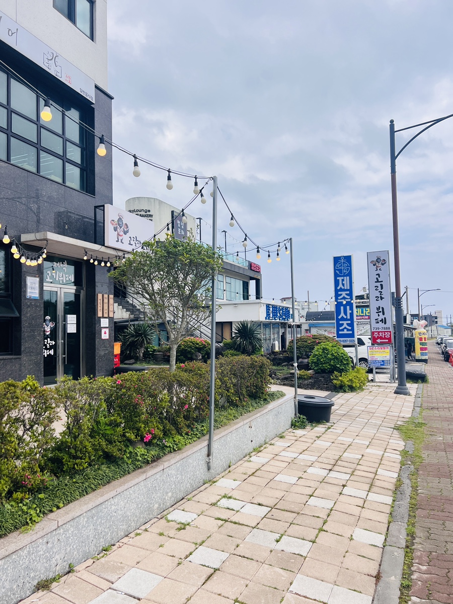 고릴라 뷔페 이미지