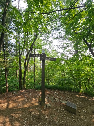 소백산국립공원 초암탐방지원센터 이미지