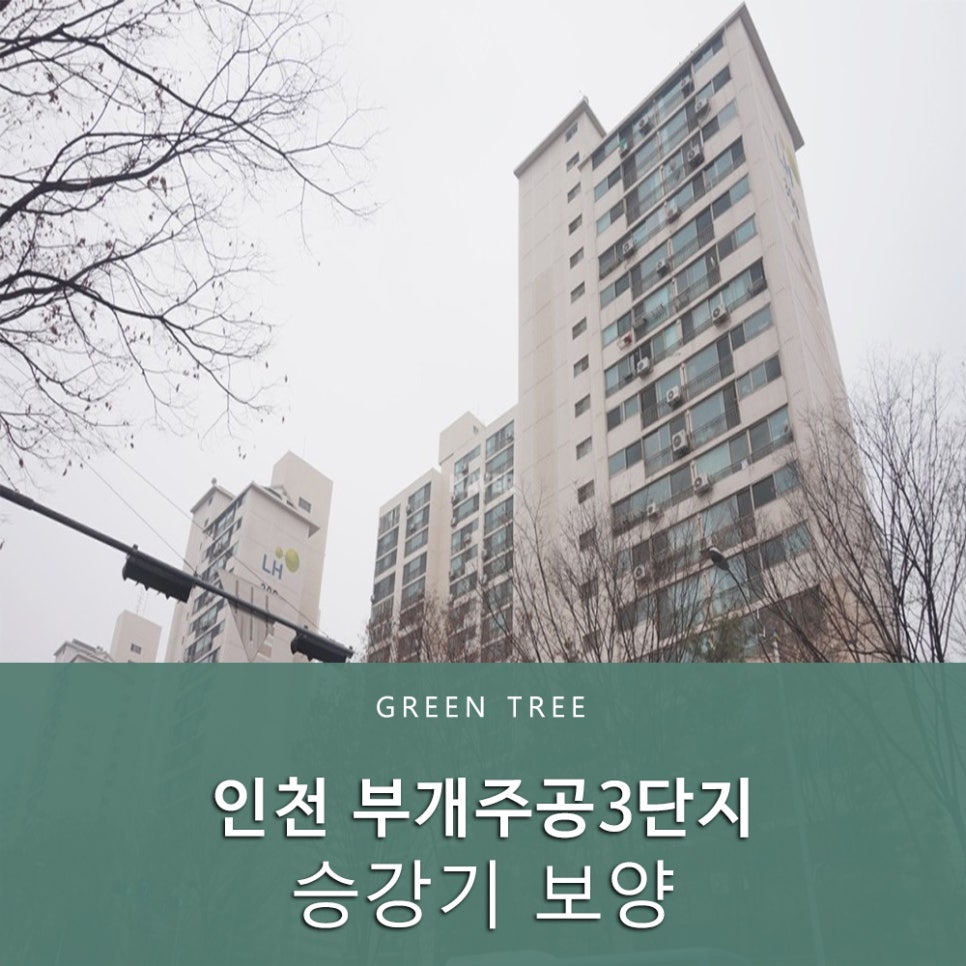 부개그린 이미지