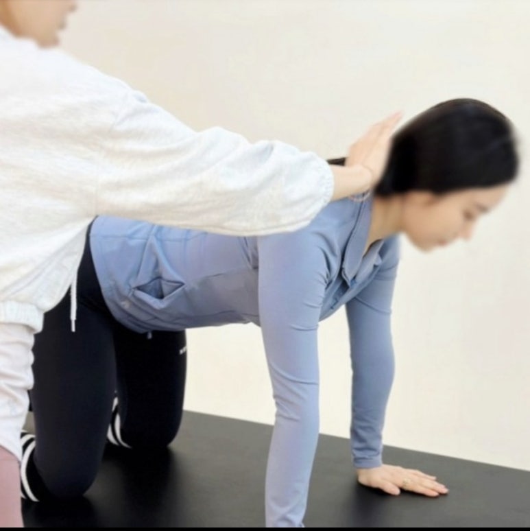 디앤솔 이미지