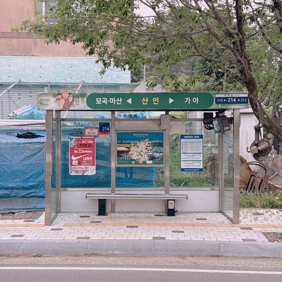 와룡성옛날손짜장 이미지