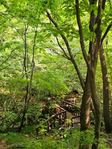 소백산국립공원 초암탐방지원센터 이미지