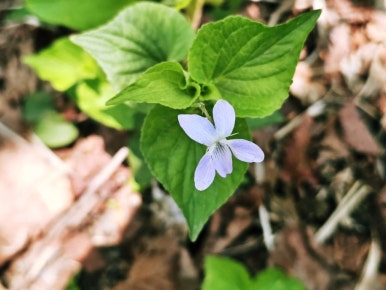 소백산국립공원 초암탐방지원센터 이미지