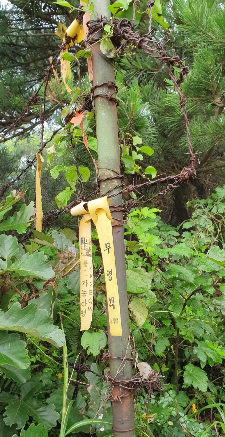 녹차향기 이미지