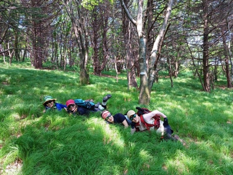 사초지대 이미지