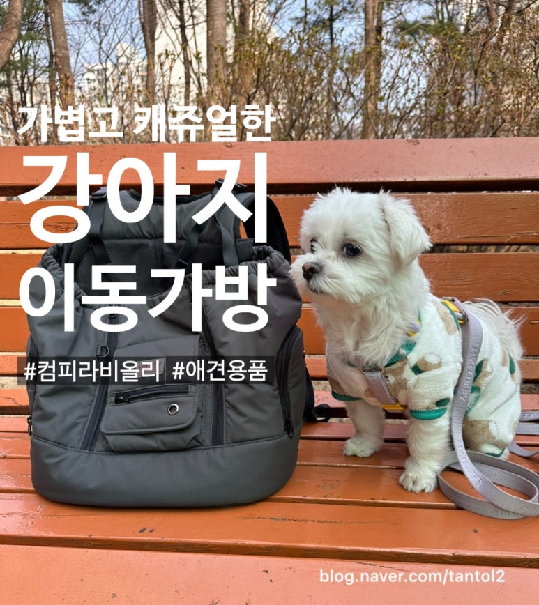 텐마일 이미지