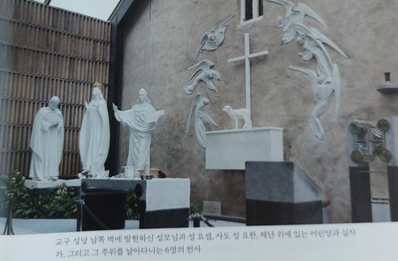 성모클린 이미지