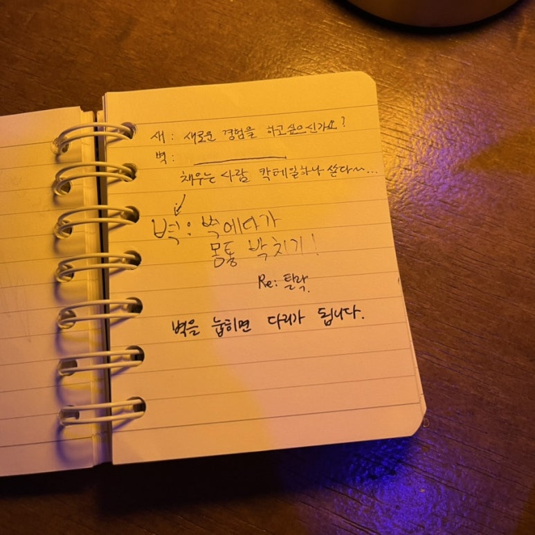 새벽제주혼술바 이미지