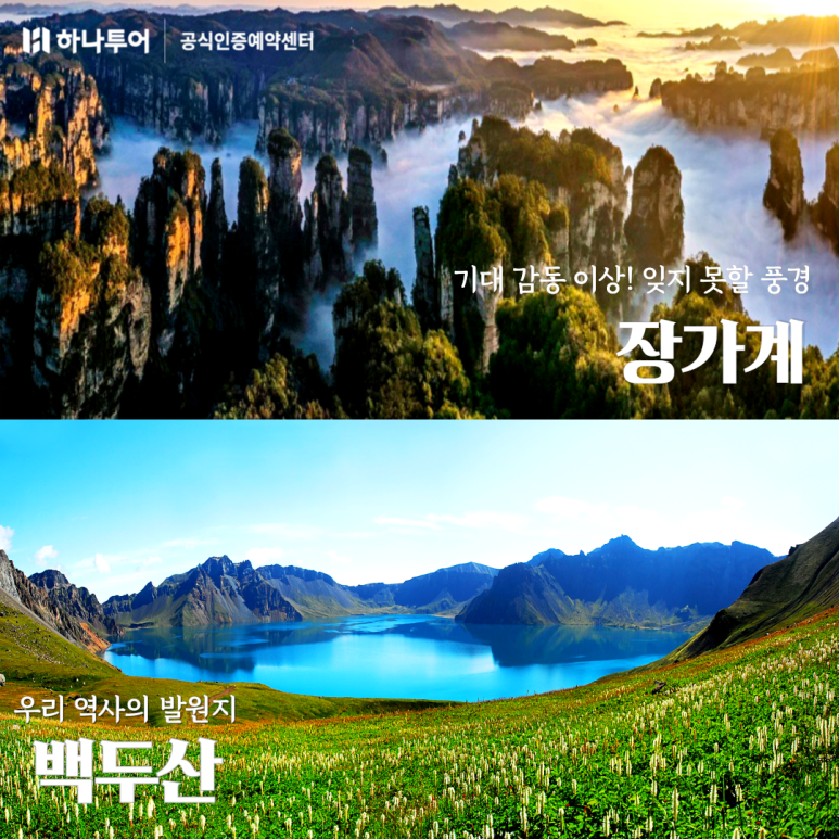 쏭투어 이미지