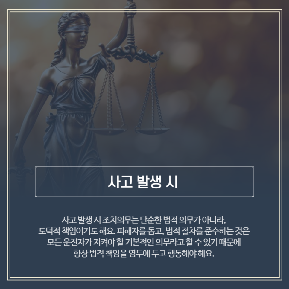 법무법인집현전 이미지