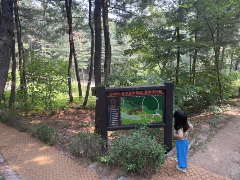 오패산 유아숲체험원 이미지