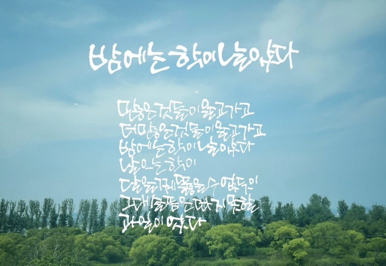 날으는과일 이미지