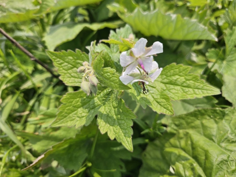 소백산국립공원 초암탐방지원센터 이미지