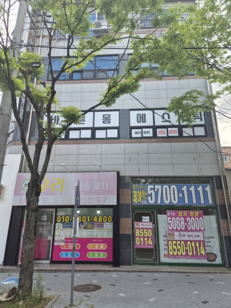 일미리 감각 이미지