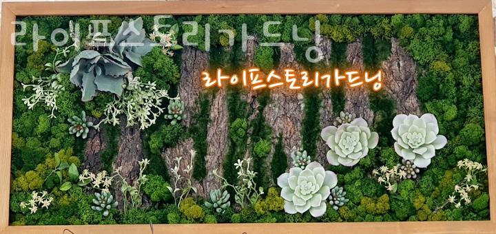 라이프 스토리 가드닝 이미지