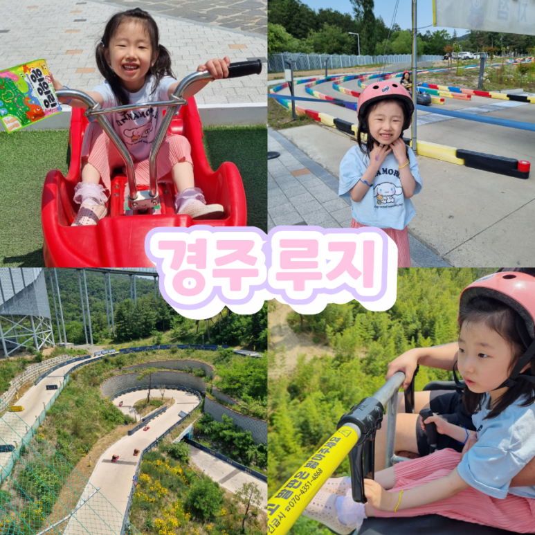 경주루지월드 푸드코트 이미지