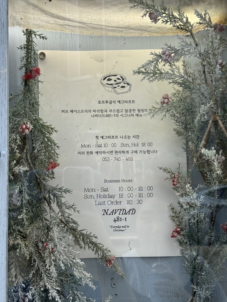 나비다드481-1(NAVIDAD481-1) 이미지