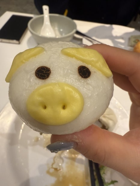 자유투어닷컴 이미지